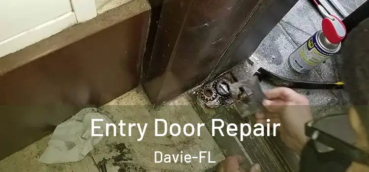 Entry Door Repair Davie-FL
