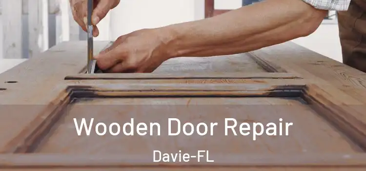 Wooden Door Repair Davie-FL